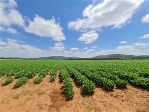 Farm For Sale in Modimolle Rural