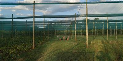 5000 sqm shade net for sale