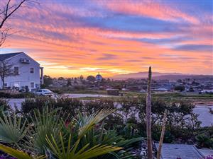 Premium Waterfront Plot-and-Plan Homes