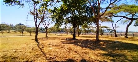 Vacant Land Residential For Sale in Arborpark