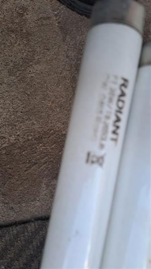 Sunbed with extra lights