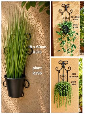 Kuns plante