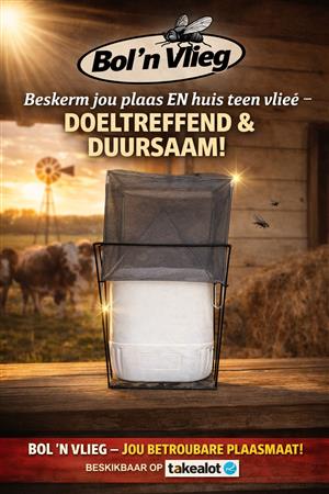 Bol 'n Vlieg