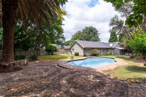 Renovated 4 Bed 2 Bath Family Home with Pool on a Large Stand in Farrarmere