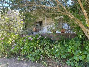 SUSTAINABLE LUXURY IN THE HEART OF BATHURST