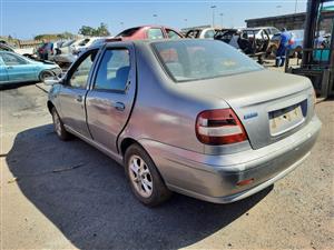 2003 Fiat Palio 1.6 - Stripping for Spares