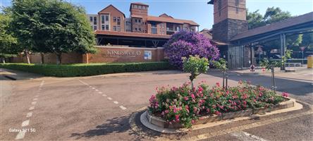 A real gem waiting for you.