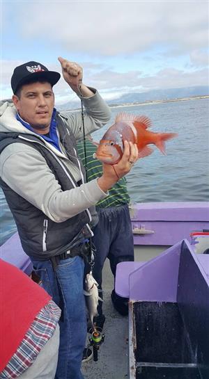 Daily fishing trips from Kalk Bay harbour 