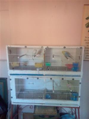 Bird  breeder cages