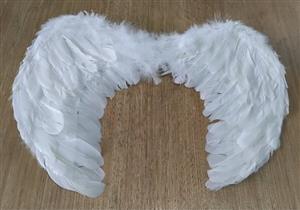 Angel Wings For Sale
