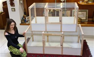 rabbit hutch for sale near me