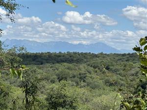 Vacant Land Residential For Sale in Mica