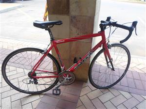 51cm (M) Raleigh RC2000 Bicycle