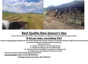 Hay for Sale