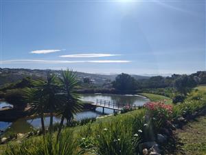 Gentlemans Residence - Brakkloof Plettenberg Bay