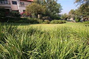 Well established planned dream home in Kosmos Ridge