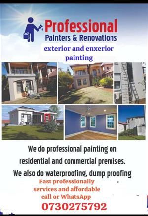 Professional painter