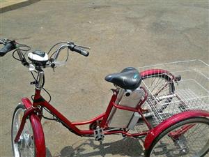 Electric Tricycles for sale