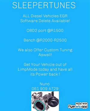 All Diesel Egr Ecu Software Deletes Available for all Makes of Vehicles
