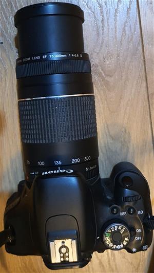 Bargain Canon Zoom Lens EF 75mm-300mm 1:4.5-5.6 III