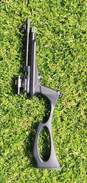 Artemis CO2 air gun