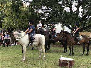 Horse riding lessons Livery and Outrides