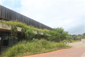 OFFICES IN TRANQUIL ELALENI