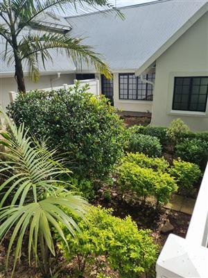 SPACIOUS MODERN BACHELOR UNIT IN HILTON