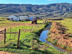 Farm For Sale in George Rural