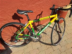 raleigh r500