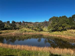 Farm For Sale in Tzaneen Rural