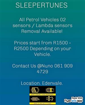 Lambda Sensor removal,  02 sensors,  fab, dpf