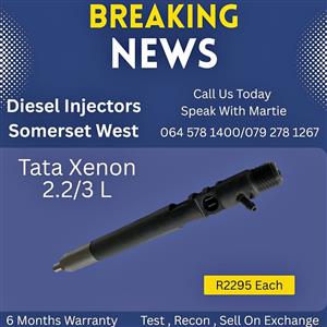 Tata Xenon diesel injectors