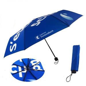 Custom Umbrella 