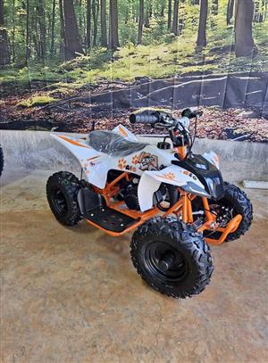 2026 Kayo A50 2 Stroke