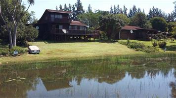 Living in the Peace of the Country