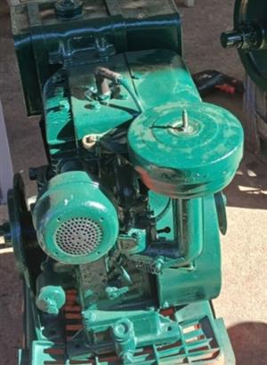Briggs Straton petrol engine