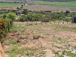 A Great, north facing vacant stand