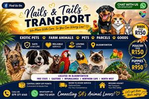 Nails And Tails Pet Transport - Bloemfontein
