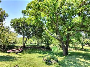 Small Holding For Sale in Nelspruit Rural