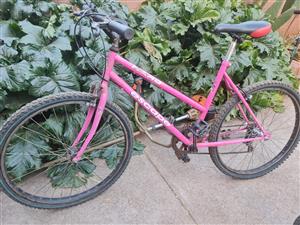 Bicycle Mountain bike 