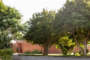 House For Sale in Kabega