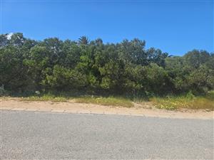 Grab This Opportunity!