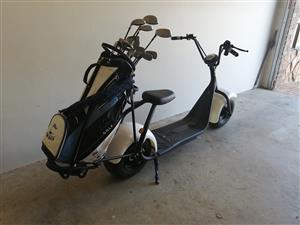 Gholf Scooter Electric Auto