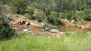 Beautiful bushveld stand!