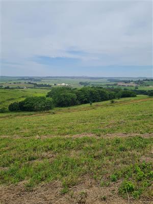 HELMSLEY COUNTRY ESTATE – NATURE | FAMILY | COUNTRY