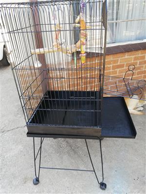 Parrot cage for sale. 