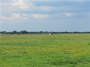 Farm For Sale in Mookgopong Rural