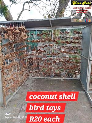 Coconut bird toys on special