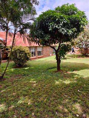 Beuatiful 3 bedroomed house available for rent